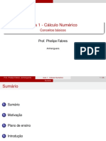 Calculo Numerico - Conceitos Básicos PDF