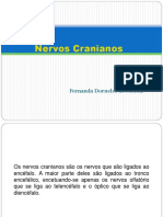 Nervos Cranianos PDF