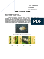 Download hama tanaman jagung by subuh_hari SN39973181 doc pdf