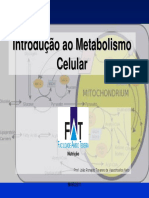 Aula 04 PDF