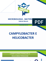 Campylobacter e Helicobacter - Slides