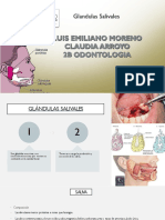 glandula locochona