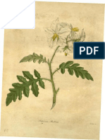 The Botanist (1836) - B. Maund PDF