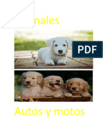 Animales.docx