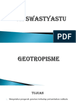 Geotropisme 