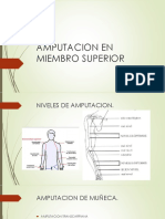 Protesis en Miembro Superior