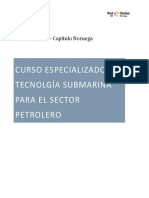 Curso especializado tecnologia  submarina para el sector petrolero-1.pdf