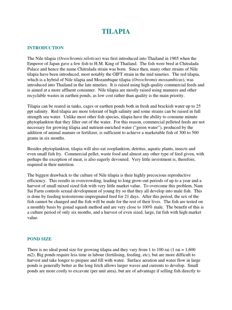 Tilapia Farming Manual PDF Fertilizer Fish