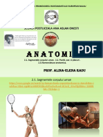 Anatomie 2