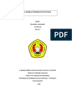 Laporan Petroleum System