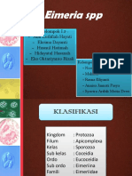 Terima kasih atas penjelasan yang lengkap. Pendarahan pada sekum memang merupakan salah satu gejala khas dari infeksi Eimeria tenella yang menyebabkan coccidiosis pada unggas