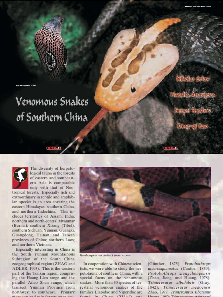 14 Types Of Venomous Snakes In China – ZZZAC
