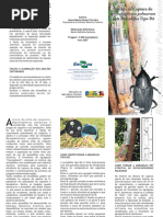 armadilha bicudo.pdf