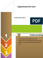 PPT Tugas B Inggris, Anugro Bagus Subekti(095)