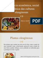 Plantas oleaginosas: culturas e aplicações