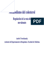 Metabolismo del colesterol 2004.pdf