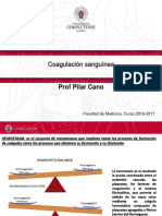 coagulacion sang.pdf