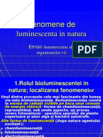 C5 Biomagnetism - Fenomene de Luminescenta in Natura