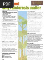 Download Rainforest Factsheet Teachers - Why Rainforests Matter by martinholland SN39978685 doc pdf