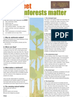 Rainforest Factsheet Teachers - Why Rainforests Matter