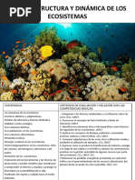 Tema 4 Estructura y Dinámica de Los Ecosistemas (Autoguardado)