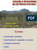 A origem e diversidade da vegetação do Bioma Cerrado