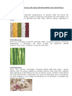 Produccion Agricola en Cada Departamento de Guatemala