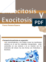 endocitosis-100609164120-phpapp01