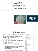 Antibiograma Actualización