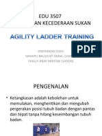 Agility Ladder Training