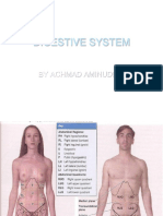 Digestive System: by Achmad Aminuddin