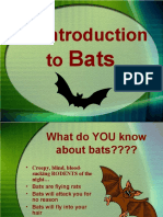 Bats