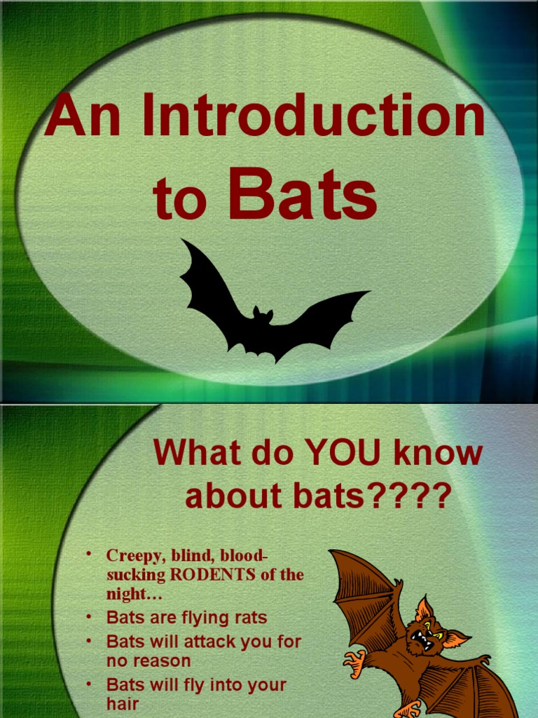 Understanding Bats: Myths, Facts, and Importance | PDF