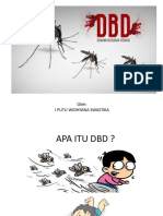 Demam Berdarah Dengue New 2019