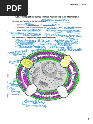 interactive notebook