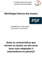 Morfologia_externa_-_Ancideriton.pdf