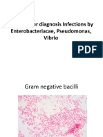 Lab Tests For Diagnosis Infections by Enterobacteriacae, Pseudomonas, Vibrio