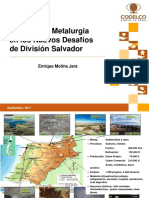 4_Rol de la metalurgia div salvador - E.Molina.pdf