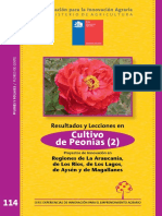 Peonias Chile