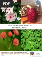 guia-de-plantas-medicinais-na-fitoterapia-pancs.pdf