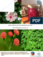 guia-de-plantas-medicinais-na-fitoterapia-pancs.pdf