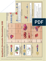 Remodelación de cromatina CHD (1).pdf
