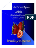 fresa (fragaria vesca)3.pdf