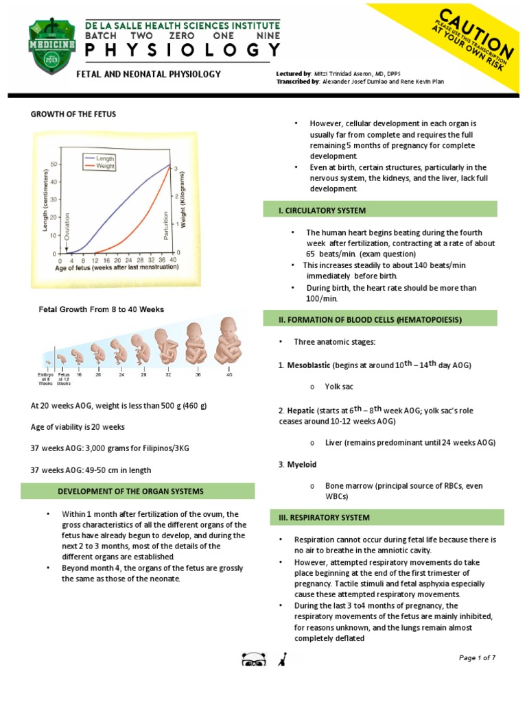 Fetal and Neonatal Physiology | PDF | Fetus | Lung