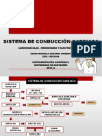 SISTEMA DE CONDUCCIÓN CARDIOLOGÍA.pdf