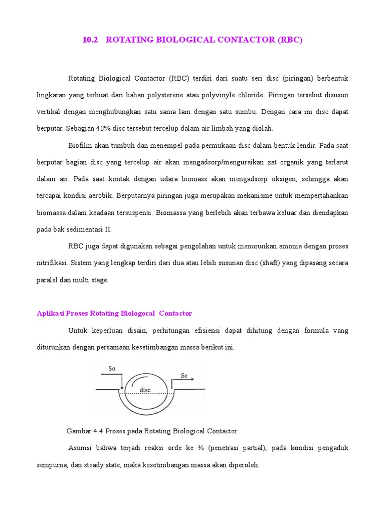 10.2 RBC (Biofilm) | PDF