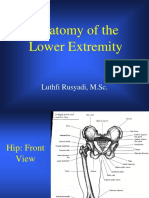 Anatomy of The Lower Extremity: Luthfi Rusyadi, M.SC