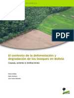 OP-100 Diagnostico de Deforestacion, Pacheco