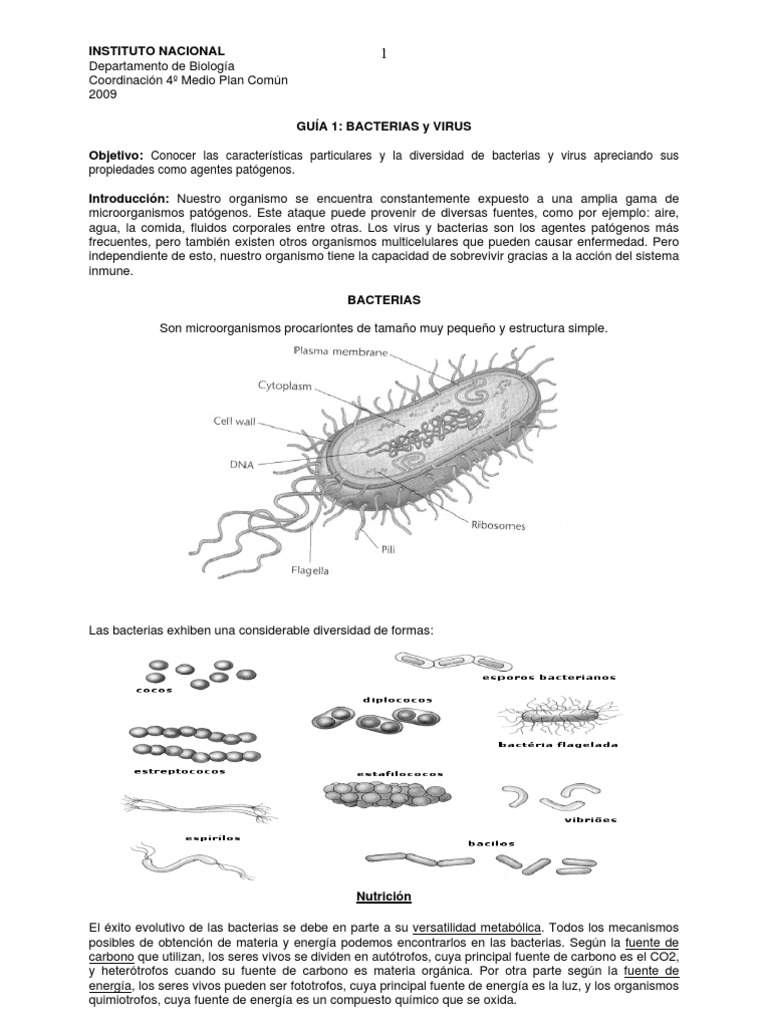 Características de Bacterias y Virus | PDF | Virus | Las bacterias