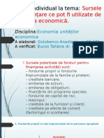 Sursele de Finantare Ce Pot Fi Utilizate de Unitatea Economica